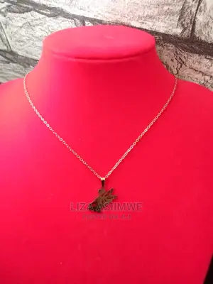 Simple Lady Necklaces Available