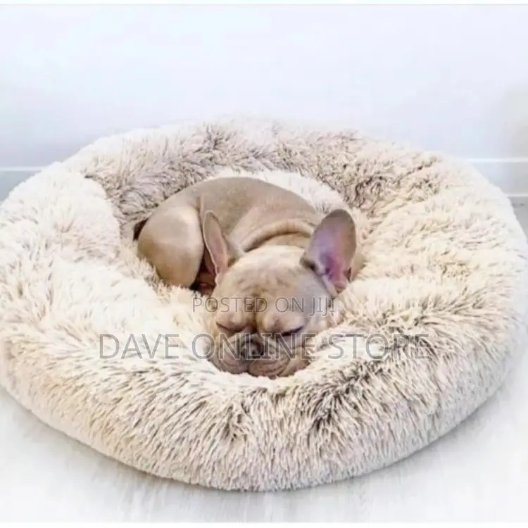 Fluffy Pet Bed for Dogs and Cats