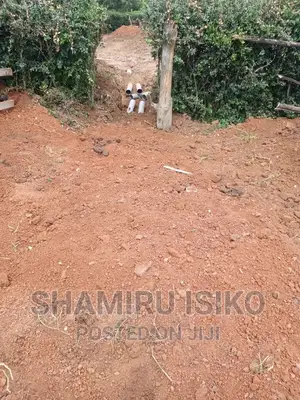 Family Biodigester System
