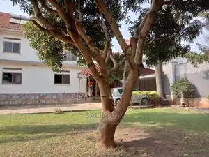 5bdrm Duplex in Kololo Property, Central Division for Rent