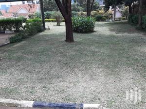 A Semi Detached House for Rent