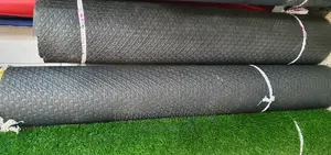 Gym/Sheet Carpets